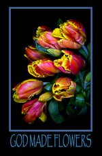 GOD MADE FLOWERS TULIPS RED AND GOLD