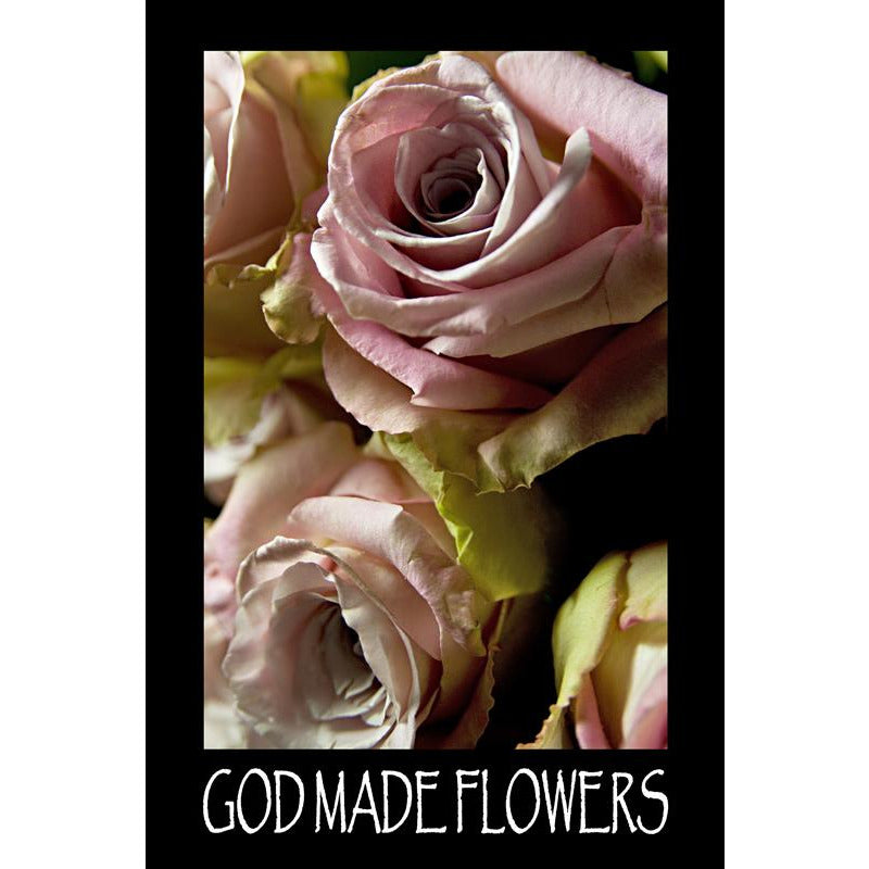 GOD MADE FLOWERS: ROSES II