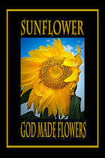 GOD MADE FLOWERS TITLE POSTER:  SUNFLOWER!