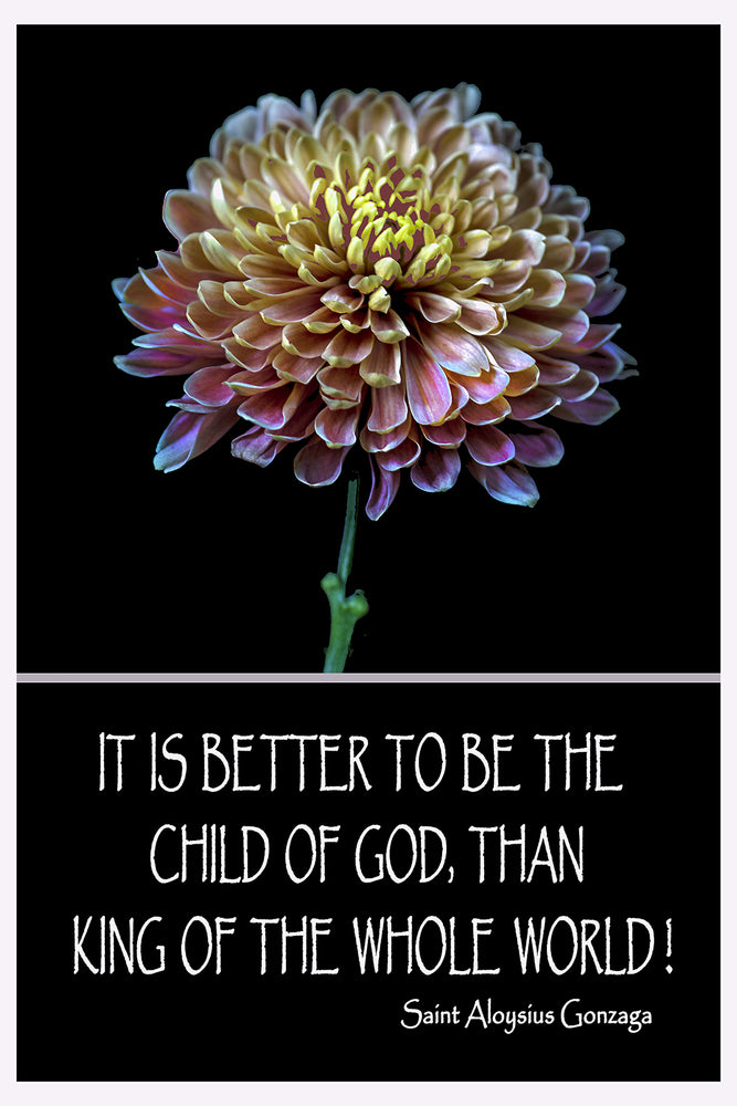 GOD MADE FLOWERS - SAINT ALOYSIUS GONZAGA QUOTE